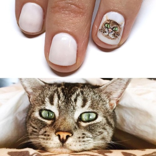 Bob the 11 year old kitty for @hairbykatiec 🐱 #catnails #catlady...