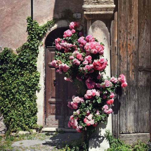 andantegrazioso - A flower blossoms for its own joy|...