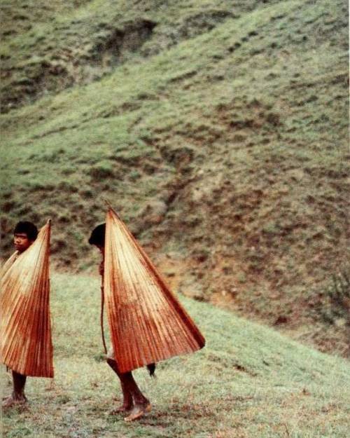 equatorjournal - Leaf raincoats, Timor,...