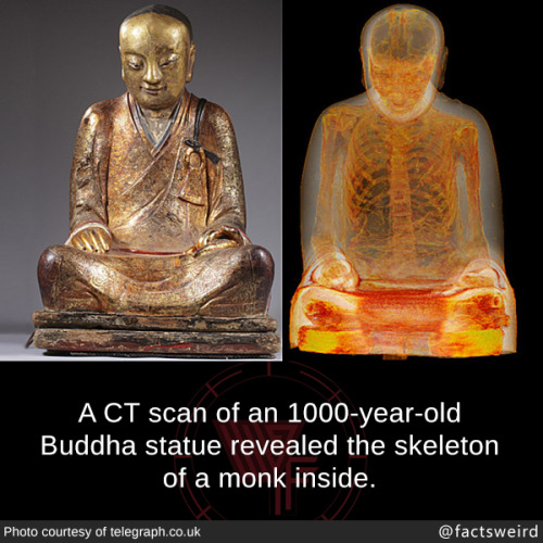 mindblowingfactz - A CT scan of an 1000-year-old Buddha statue...