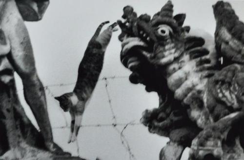 regardintemporel - Ferdinando Scianna - Monsters in Villa...