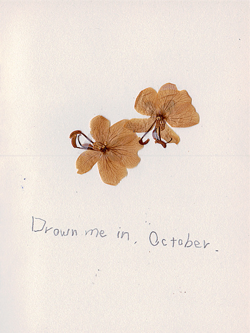 yidan - Drown me in, October. // 2016 //  ig - @yizdan