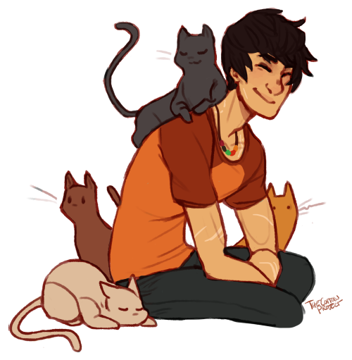 thecottonproject - theory - stray cats swarm percy all the time in...