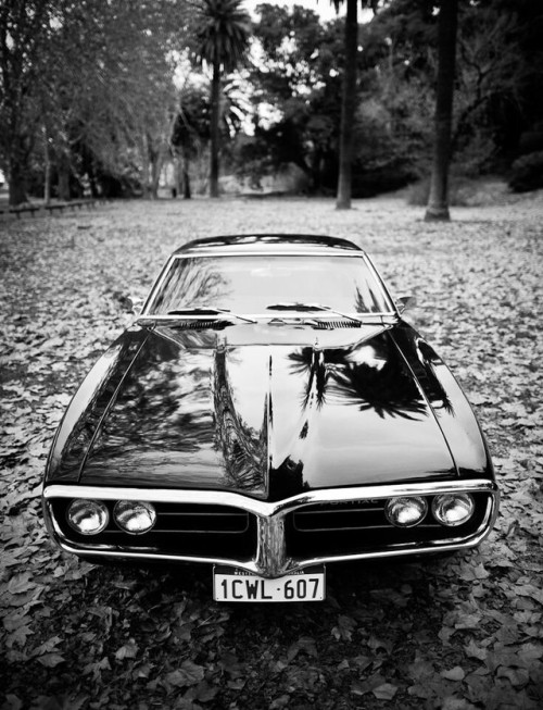 doyoulikevintage:1967 Pontiac Firebird,