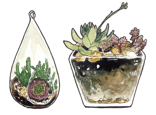 incaseyouart:Little watercolour terrariums! I want all of these...