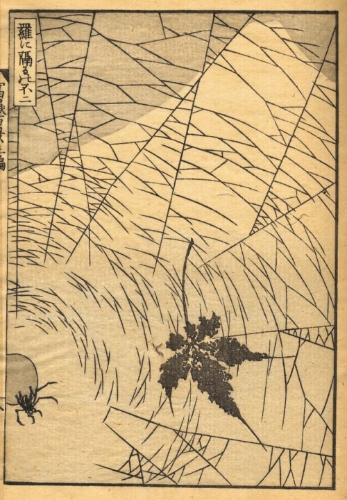 nobrashfestivity - Katsushika Hokusai, Mt Fuji Behind a Spider...
