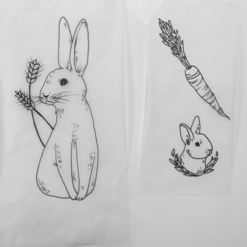 boycomet - Little rabbit and mice flash