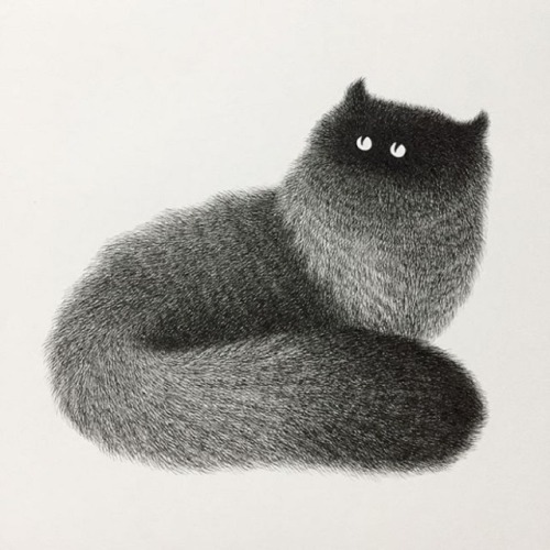 artisticmoods:A selection of very, very fluffy cats by Kamwei...