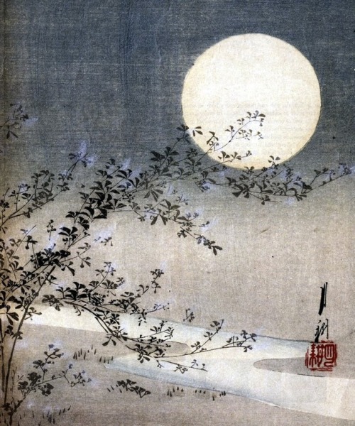 modijeanne - Moon, 1895 c.Ogata Gekkō 尾形月耕 (1859-1920)
