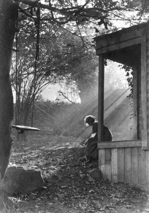 birdsong217 - Imogen Cunningham. Morning Mist and Sunshine, 1911.