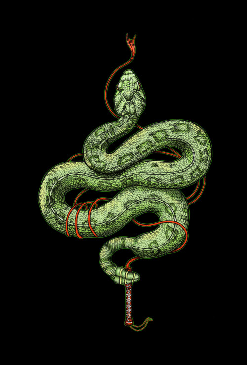 rachaelsmartart - “The Snake Pit” is an illustration, in my mind,...