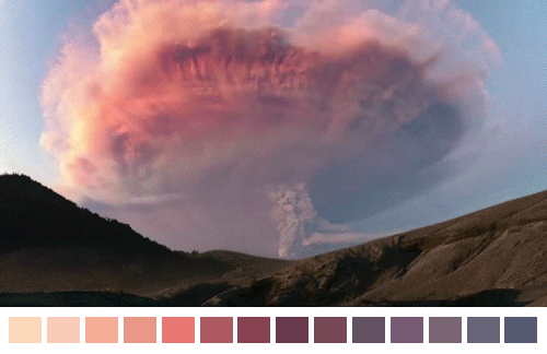 naturalpalettes - A collection of Natural Palette gifs.