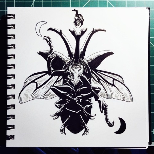 A baph beetle! #sketch #ink #blackandwhite #artistsofinstagram...