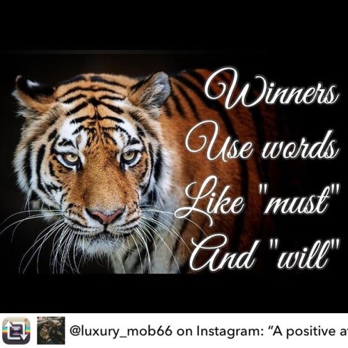 Repost from @luxury_mob66 on Instagram: “A positive attitude...