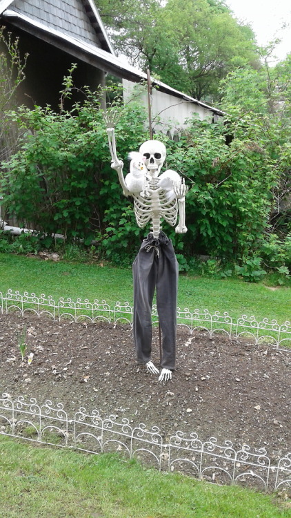 furbyfuzz - LongFurby visits the garden skeleton!!They were...