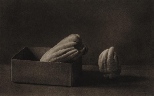 zoebalthus - Busshukan (Fingered citrons) - 1930 © Yasuzo Nojima