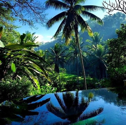 theadventurechild - Jungle/tropical blog