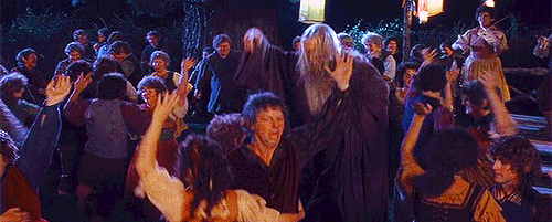 Image result for lord of the rings gif celebration