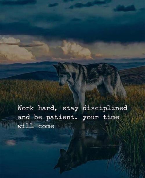 quotesndnotes - Work hard. Stay disciplined and be patient.....