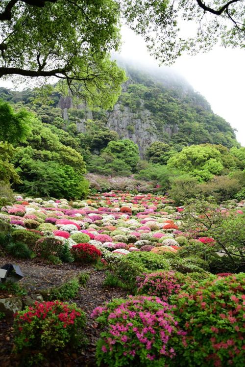 praial - Japan - Mifuneyama Gardens in Takeo, Saga.