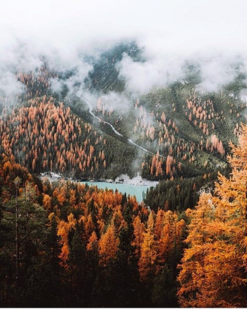 folklifestyle - When can we start talking about Fall? Photo by...