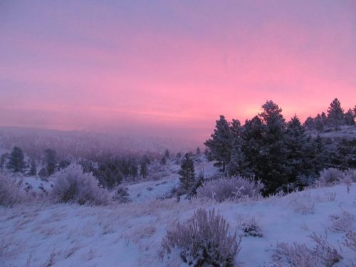 A purple and pink winter sunrise paints the sky at Charles M. Russell National Wildlife Refuge in Montana. It’s a scene Charles M. Russell would have enjoyed. The refuge was named in recognition of this colorful western artist who often portrayed the...