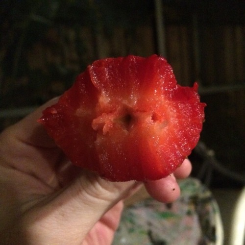mikeliebo - This strawberry isn’t just juicy…it’s also very...