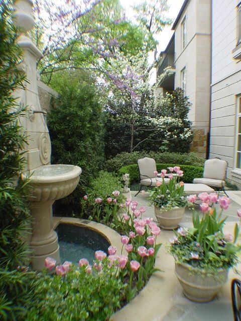 yellowrose543 - Backyard garden and fountain
