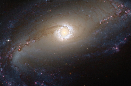 traverse-our-universe:Barred spiral galaxy NGC 1097Hubble...