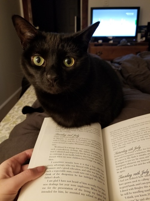 slytherintobed:I just want to read you adorable monster