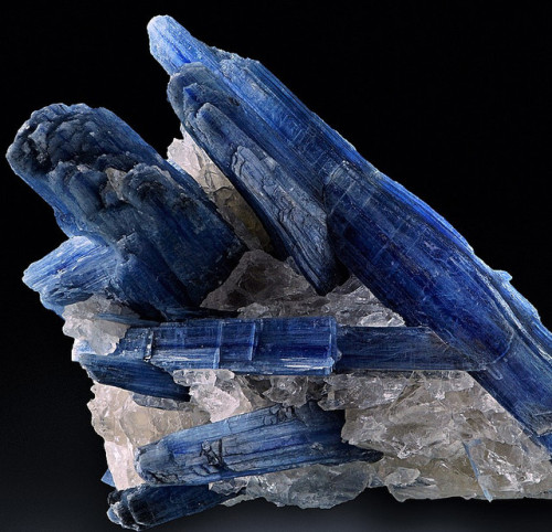 bijoux-et-mineraux:Kyanite in Rock Crystal - Barra do...