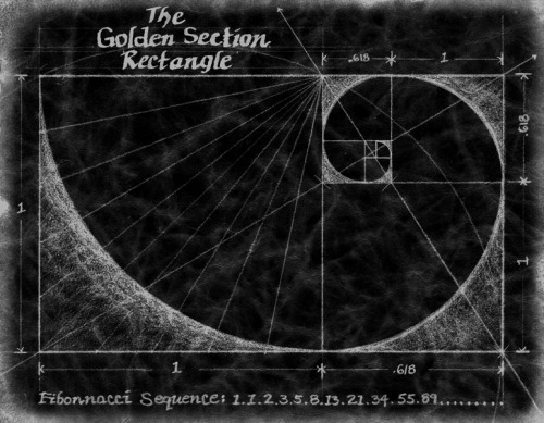 chaosophia218 - The Fibonacci Spiral - The Golden Section...