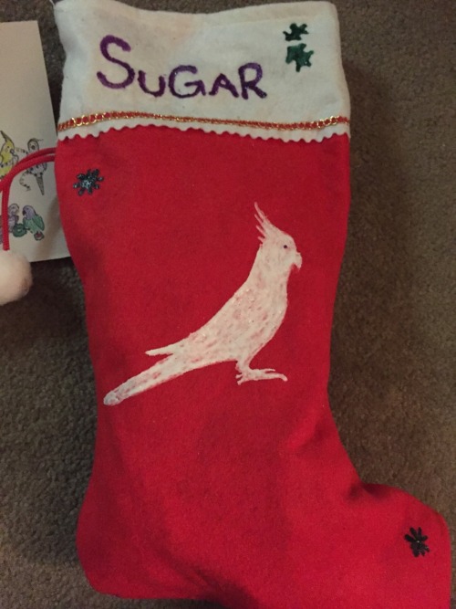 sweetiesugarbird - SUGAR’S SECRET SANTA GIFT CAME IN THE MAIL AND...