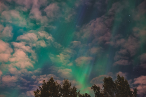 silvesterphoto - Aurora and Clouds - Uppsala Sweden