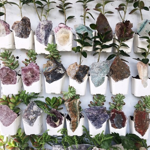 sosuperawesome:Magnetic Crystal Succulent Planters, by Emily...