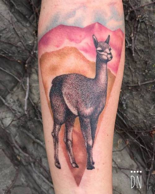 By Dino Nemec, done at Lone Wolf Private Tattooing Studio,... dinonemec;big;vicuna;animal;facebook;twitter;inner forearm;illustrative