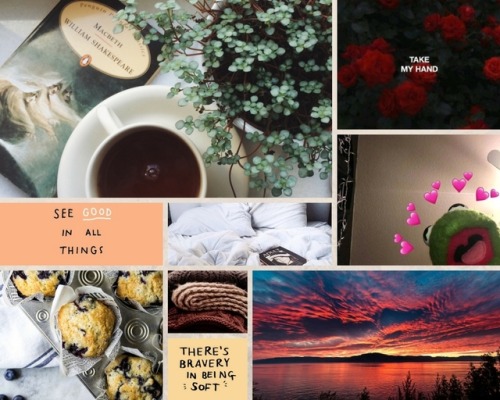hot tea and good books | roses and “run” | unwavering kindness |...