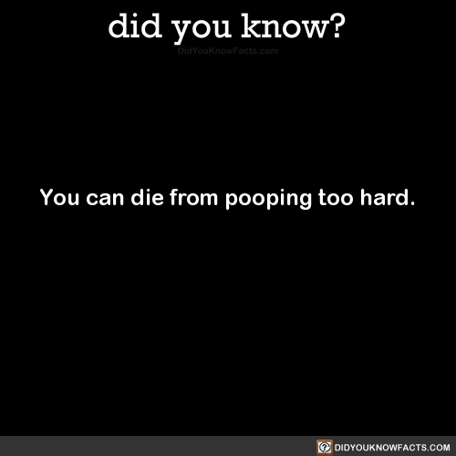 did-you-kno - You can die from pooping too hard. SourceTrue...