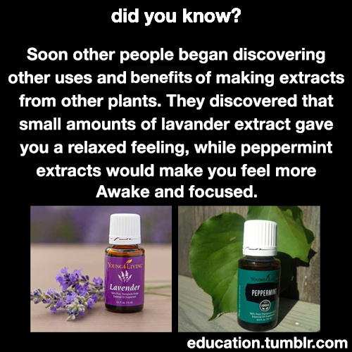education - Learn More About The Essential Oils Starter Kit!I...