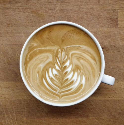 baristacoffee - Bushy Coffee by Ben Zvan https - //flic.kr/p/2aVTNMo
