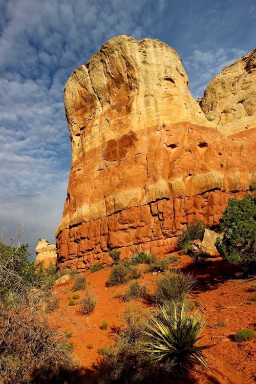 riccardo-posts - Colorful sandstone bluffs highlight the trails...