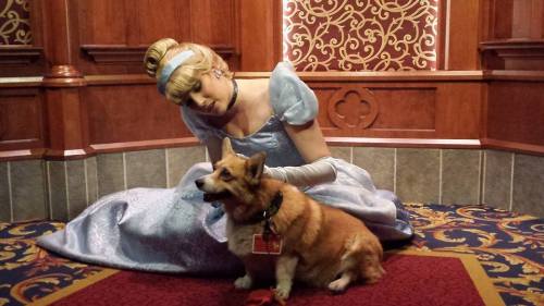 callofthenerd - My friend posed her dog with Disney characters at...