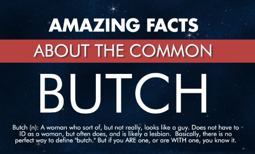 obirinlover - butchsource - Butches - An Infographic.@lesbianegg...