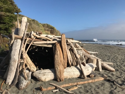 Driftwood cave on the beach at Sea Ranch