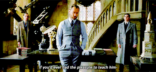 just-be-magnificent - fantastic beasts gifs → 26 / ∞