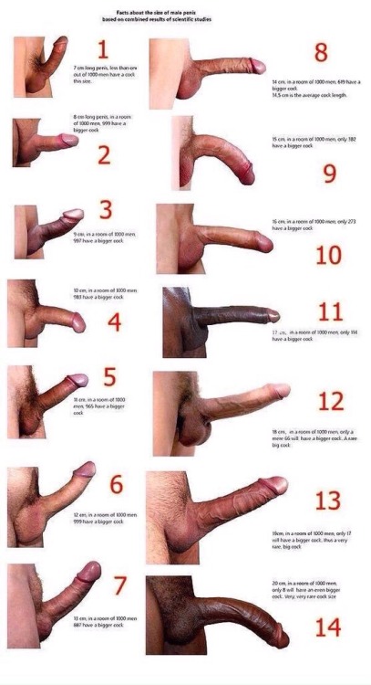 cempaka91 - asdfghjklblahhhh9 - Comment which one is yours...