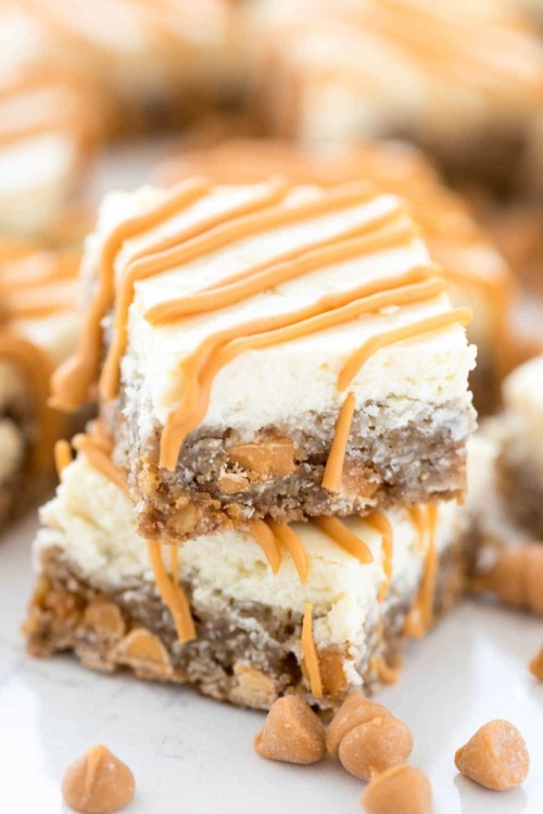 bloggersfood - Oatmeal Scotchie Cheesecake Bars