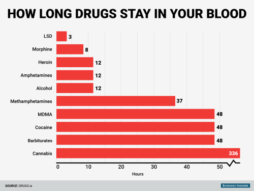 cinderhellaaaa - businessinsider - Here’s how long various drugs...