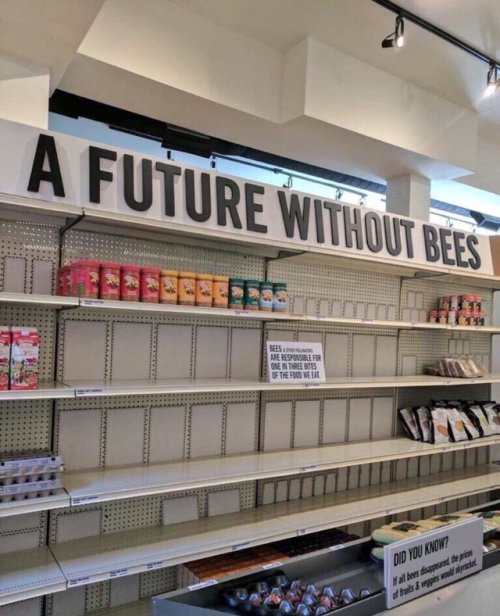 babyanimalgifs - Save the bees