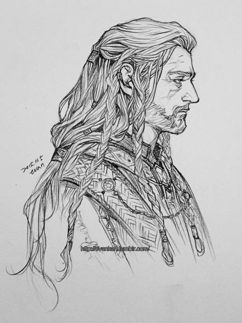 evankart - Prince Fili, Kili and old king Thorin of Erebor